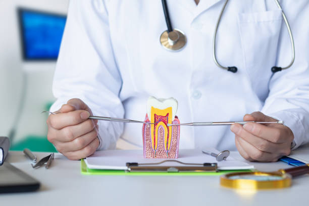 Best Knocked-Out Tooth Emergency  in Afton, WY